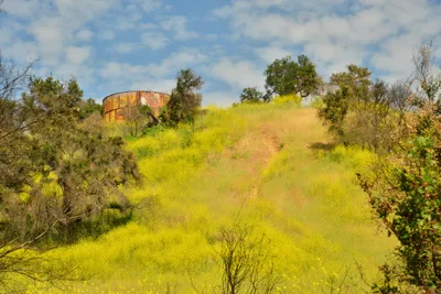 DSC_6407 (Large).JPG